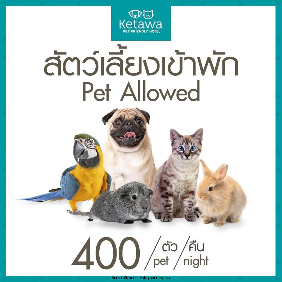 Dog Friendly Hotels Chiang Mai