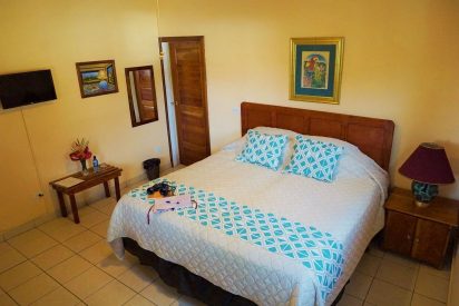 Pet Friendly Hotels in Belize