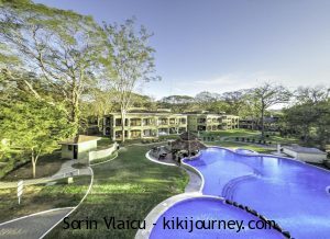 Guide to Pet Friendly Hotels in Costa Rica (2024 Updated)