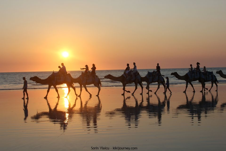 Camel Tours in Broome