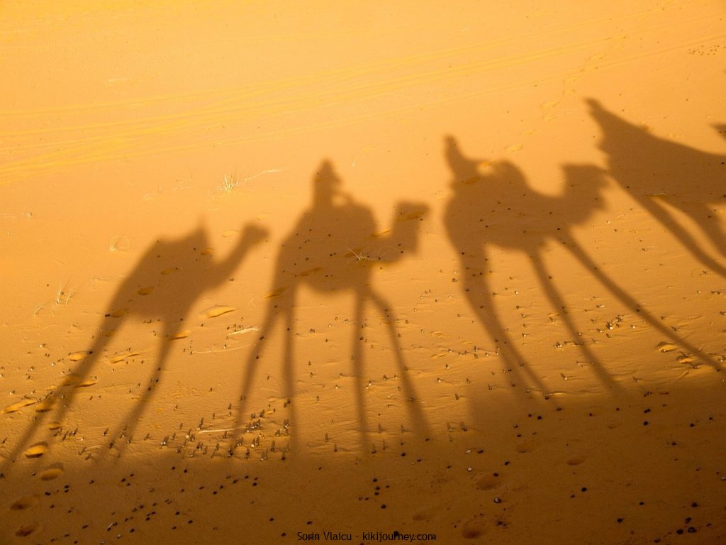 pre-sunset camel tour in Broome